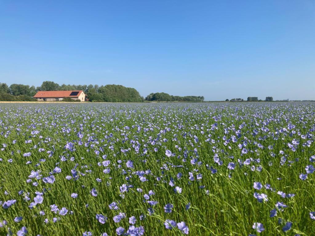 't Wagenhuis Retranchement Buitenkant foto